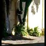 Wall Ride