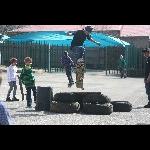 IMG_7478